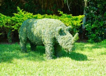 Busch Gardens ir kitos populiarios atostogų vietos atsisako grynųjų pinigų