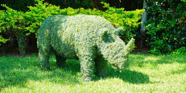 Busch Gardens ir kitos populiarios atostogų vietos atsisako grynųjų pinigų