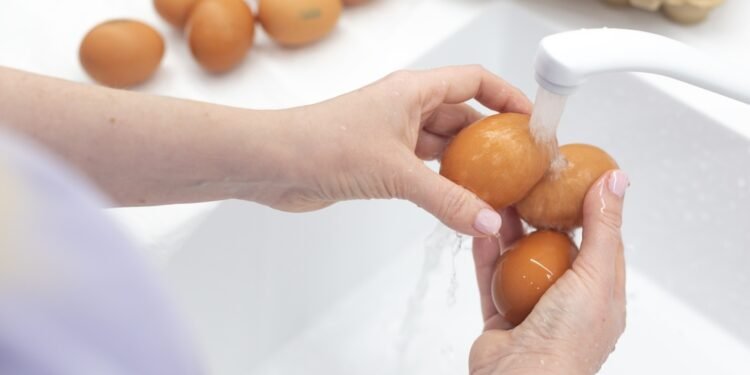 Kodėl niekada nereikėtų plauti šviežių kiaušinių prieš juos verdant