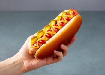 Ar šunims galima duoti dešrainių? Štai ką sako veterinarai