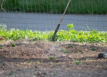 16 būdų naikinti sodo piktžoles