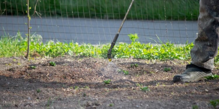16 būdų naikinti sodo piktžoles