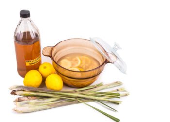 Natūralios priemonės nuo blusų: 4 naminiai antiparazitiniai antkakliai šunims ir katėms