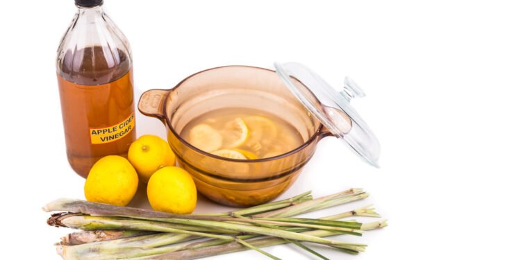 Natūralios priemonės nuo blusų: 4 naminiai antiparazitiniai antkakliai šunims ir katėms