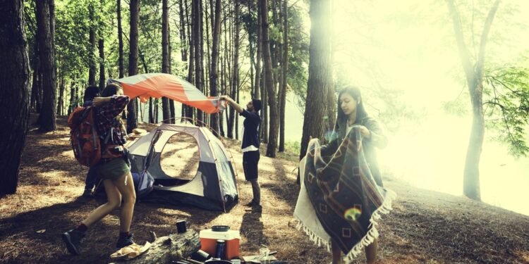 Kiekvienais metais stovyklautė daugiau nei 30 dienų – štai apsauga nuo uodų, kurios niekada nepamirštu įsidėti