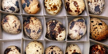 Jei ant kiaušinių pastebite dėmelių ar gumbelių – štai ką tai reiškia