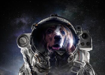 Pagaliau! „Disney“ paskelbė klasikinės EPCOT atrakcijos atidarymo datą