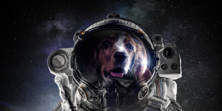 Pagaliau! „Disney“ paskelbė klasikinės EPCOT atrakcijos atidarymo datą