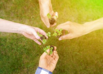 Kaip „Vienybės parkas“ išgydo dešimtmečius trukusią rasinę neteisybę ir suvienija bendruomenę