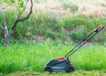 Kada geriausia įsigyti vejapjovę?