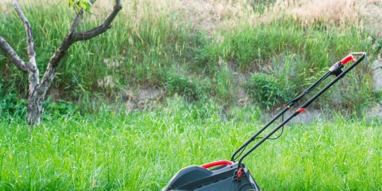 Kada geriausia įsigyti vejapjovę?