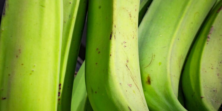 Štai kodėl kai kurios bananų rūšys yra mėlynos – ką reikėtų žinoti apie šią neįprastos spalvos vaisių