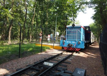 Disney mažina kai kurių kainų kėlimus – svarbiausia informacija jums