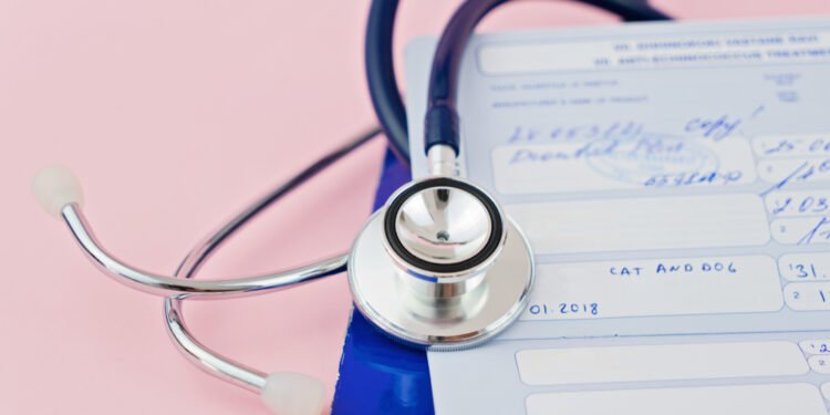 Šunų parvovirusas plinta: svarbiausia informacija, kurią turite žinoti