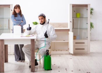 Kodėl purškalai ir repelentai nuo blakių gali tik pabloginti problemą