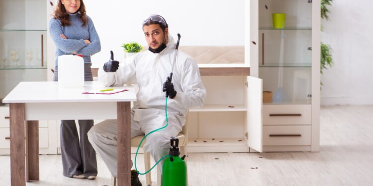 Kodėl purškalai ir repelentai nuo blakių gali tik pabloginti problemą