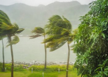 Kuo skiriasi ciklonas, uraganas ir taifūnas?