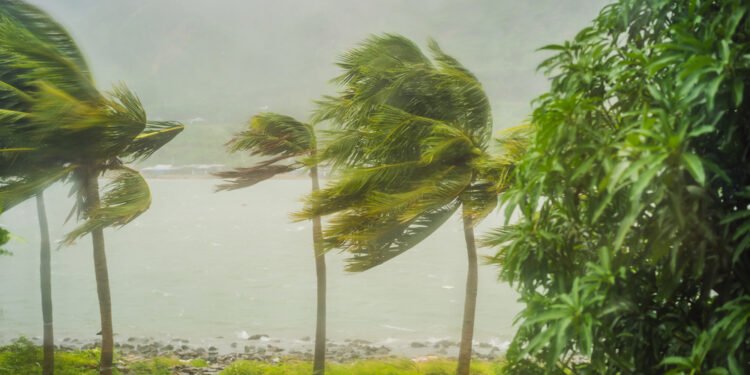 Kuo skiriasi ciklonas, uraganas ir taifūnas?