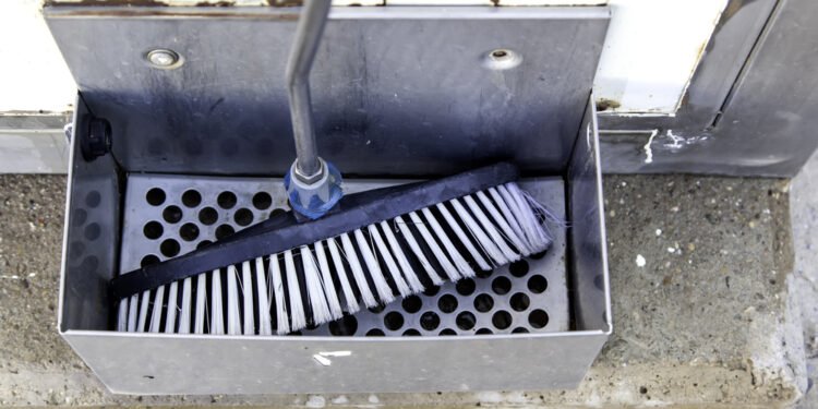 Kaip boraksas palengvina namų ruošos darbus