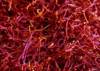 Kodėl šafranas toks brangus?