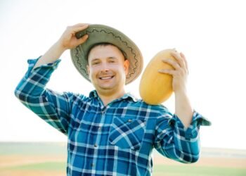 Štai kodėl Japonijoje melionai kainuoja net 125 dolerius