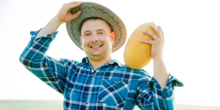 Štai kodėl Japonijoje melionai kainuoja net 125 dolerius