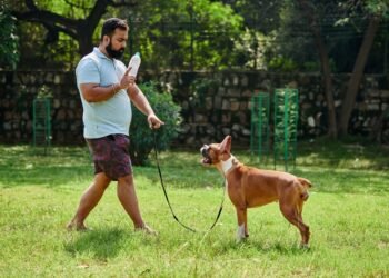 Ar šunys gali būti kairiarankiai ar dešiniarankiai?