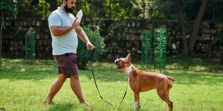 Ar šunys gali būti kairiarankiai ar dešiniarankiai?