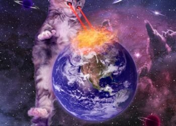 Ar katės mato spalvas?