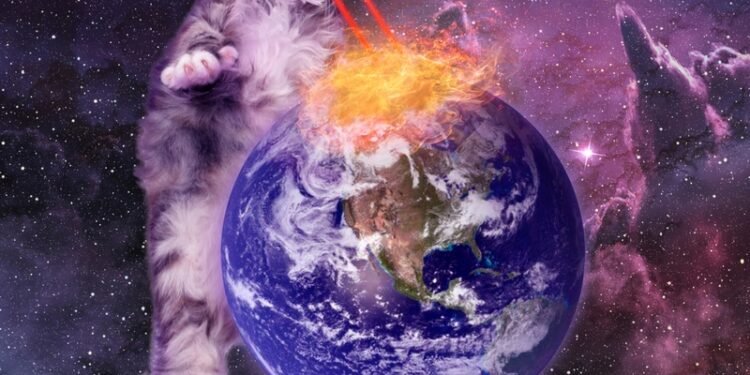 Ar katės mato spalvas?