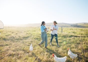 Kaip sužinoti, kurioje automobilio pusėje yra kuro bakas – neišlipant iš automobilio