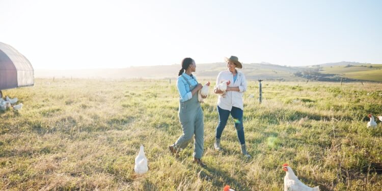 Kaip sužinoti, kurioje automobilio pusėje yra kuro bakas – neišlipant iš automobilio