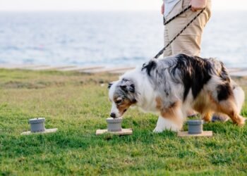 35 painios gyvūnų mįslės, priversiančios gerokai pasukti galvą