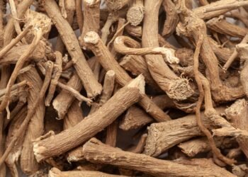 Šaknų puvinys: kas tai ir kaip jį gydyti