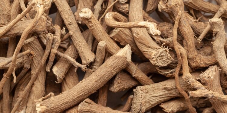 Šaknų puvinys: kas tai ir kaip jį gydyti