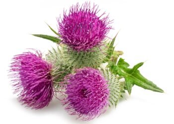 Migdomedžio pieno trūkumai, apie kuriuos mažai kalbama