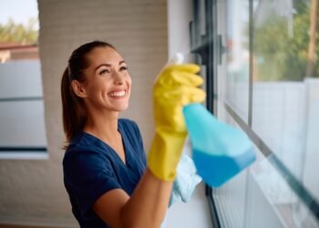 5 veiksmingos naminės langų valymo priemonės