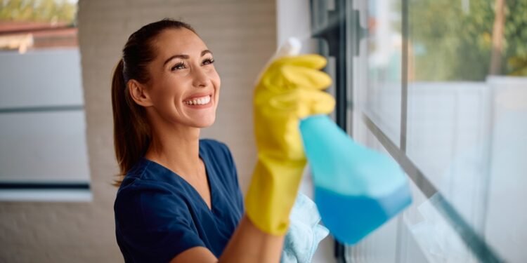5 veiksmingos naminės langų valymo priemonės