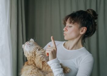 Kaip suprasti katės kūno kalbą: specialistų patarimai