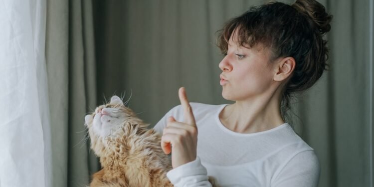 Kaip suprasti katės kūno kalbą: specialistų patarimai