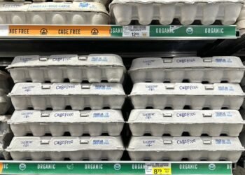 Kodėl rudi kiaušiniai brangesni už baltus?