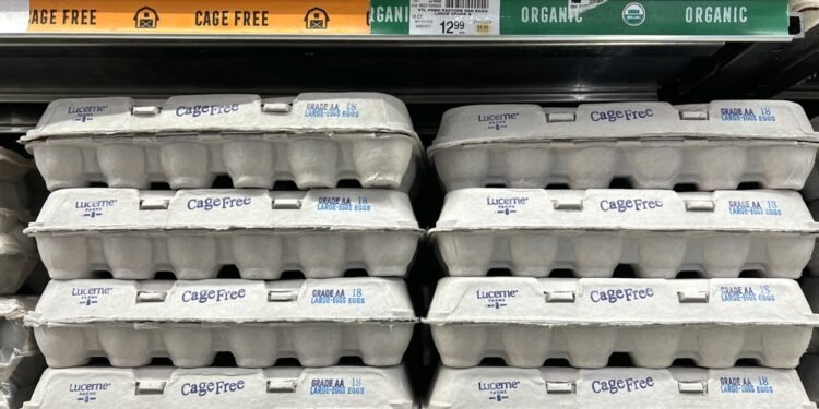 Kodėl rudi kiaušiniai brangesni už baltus?