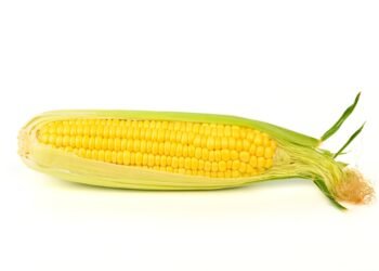 Ar kukurūzai yra daržovė, grūdas ar vaisius?