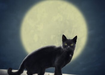 Tikroji priežastis, kodėl tikime prietarais – teigia mokslas