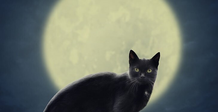 Tikroji priežastis, kodėl tikime prietarais – teigia mokslas