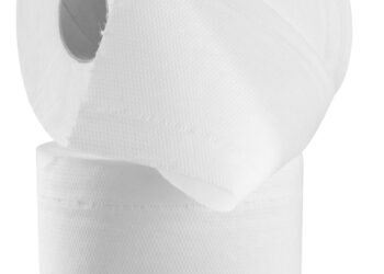 Kas buvo naudojama prieš atsirandant tualetiniam popieriui