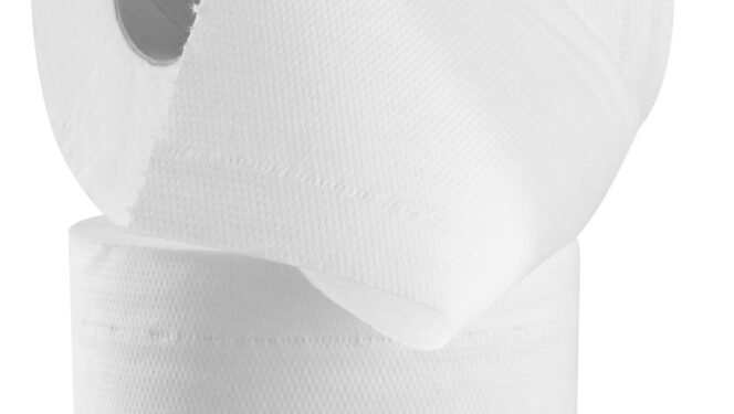 Kas buvo naudojama prieš atsirandant tualetiniam popieriui