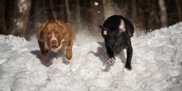 Kodėl gripą reikėtų vertinti rimčiau nei „paprastą peršalimą“