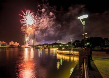 Kodėl šunys bijo fejerverkų ir kaip juos nuraminti?