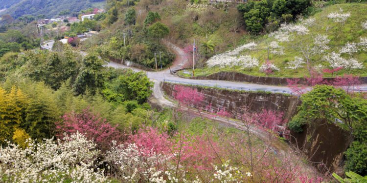Retų vėžio formų simptomai gali būti lengvai nepastebimi